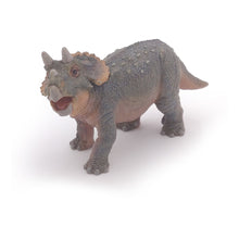 Load image into Gallery viewer, PAPO Dinosaurs Young Triceratops Toy Figure (55036)