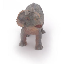 Load image into Gallery viewer, PAPO Dinosaurs Young Triceratops Toy Figure (55036)