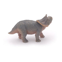 Load image into Gallery viewer, PAPO Dinosaurs Young Triceratops Toy Figure (55036)
