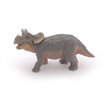 Load image into Gallery viewer, PAPO Dinosaurs Young Triceratops Toy Figure (55036)