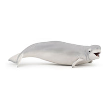 Load image into Gallery viewer, PAPO Marine Life Beluga Whale Toy Figure (56012)
