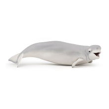 Load image into Gallery viewer, PAPO Marine Life Beluga Whale Toy Figure (56012)