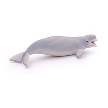 Load image into Gallery viewer, PAPO Marine Life Beluga Whale Toy Figure (56012)

