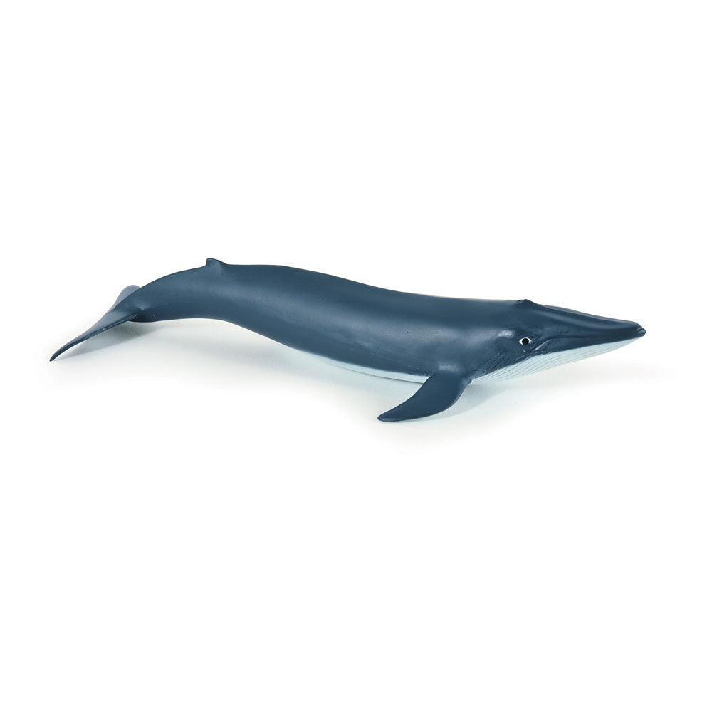 PAPO Marine Life Blue Whale Calf Toy Figure (56041)