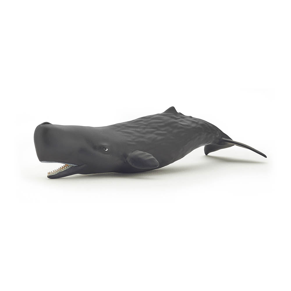 PAPO Marine Life Sperm Whale Calf Toy Figure (56045)