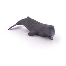 Load image into Gallery viewer, PAPO Marine Life Sperm Whale Calf Toy Figure (56045)