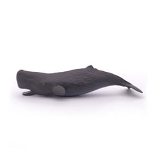 Load image into Gallery viewer, PAPO Marine Life Sperm Whale Calf Toy Figure (56045)
