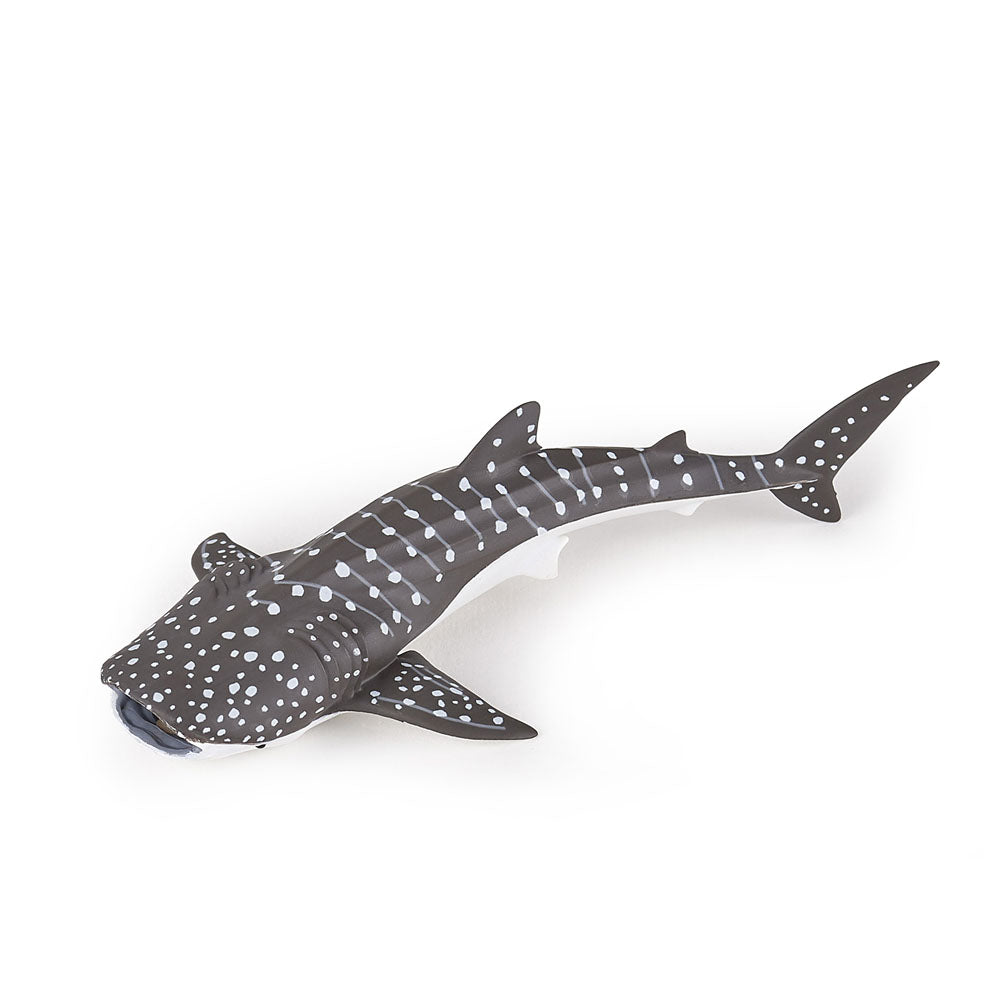 PAPO Marine Life Young Whale Shark Toy Figure (56046)