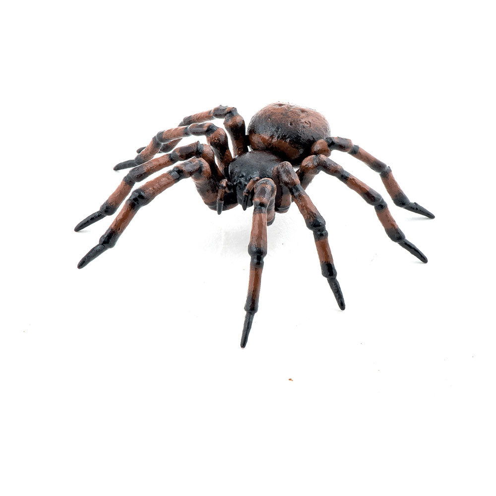 PAPO Wild Life in the Garden Common Spider Toy Figure (50292)