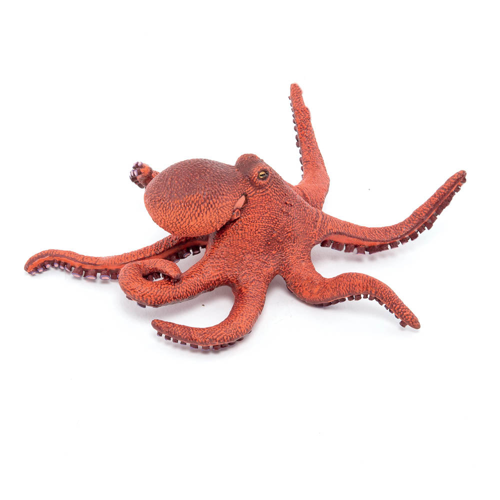 PAPO Marine Life Little Octopus Toy Figure (56060)