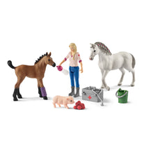 Load image into Gallery viewer, SCHLEICH Farm World Vet Visiting Mare and Foal Toy Figure Set (42486)
