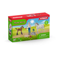 Load image into Gallery viewer, SCHLEICH Farm World Vet Visiting Mare and Foal Toy Figure Set (42486)
