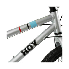 Load image into Gallery viewer, Hoy Pentland 20-inch Titanium Silver Kids Bike - Silver
