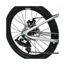 Load image into Gallery viewer, Hoy Pentland 20-inch Titanium Silver Kids Bike - Silver
