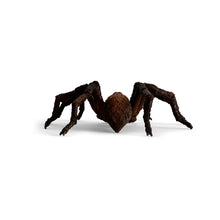 Load image into Gallery viewer, WIZARDING WORLD Aragog Toy Figure (13987)
