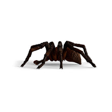 Load image into Gallery viewer, WIZARDING WORLD Aragog Toy Figure (13987)
