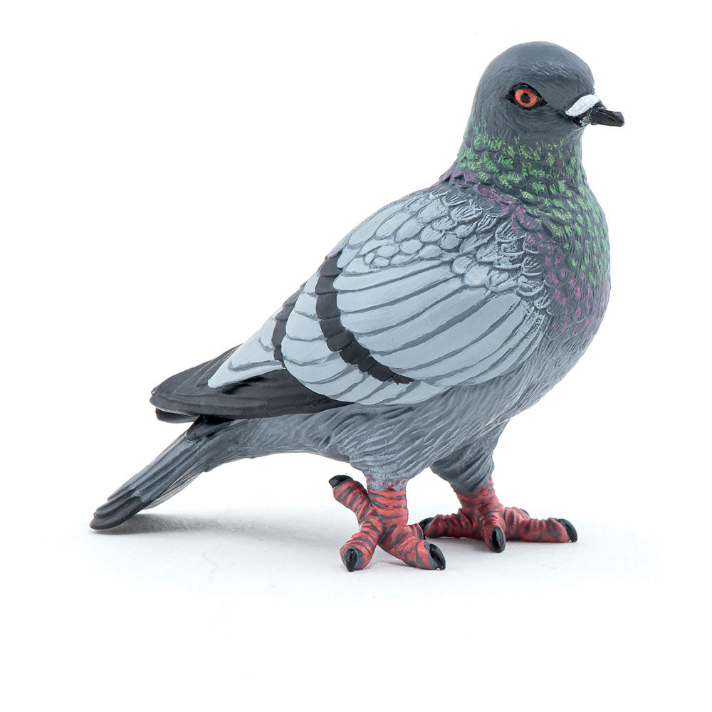 PAPO Wild Life in the Garden Pigeon Toy Figure (50295)
