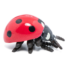 Load image into Gallery viewer, PAPO Wild Life in the Garden Ladybird Toy Figure (50257)
