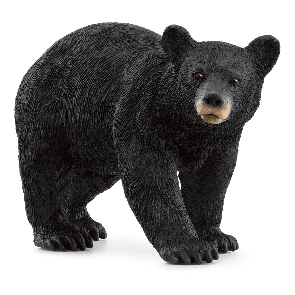 SCHLEICH Wild Life American Black Bear Toy Figure (14869)