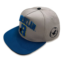 Load image into Gallery viewer, WIZARDING WORLD Harry Potter College Ravenclaw Snapback Baseball Cap - HAR01604SBCOS
