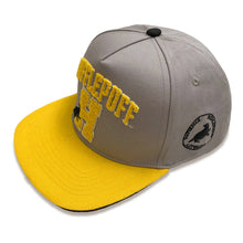 Load image into Gallery viewer, WIZARDING WORLD Harry Potter College Hufflepuff Snapback Baseball Cap - HAR01605SBCOS
