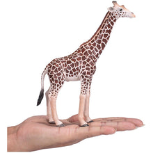 Load image into Gallery viewer, MOJO Wildlife &amp; Woodland Giraffe Male Toy Figure (381008)
