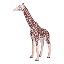 Load image into Gallery viewer, MOJO Wildlife &amp; Woodland Giraffe Male Toy Figure (381008)
