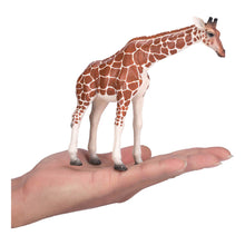 Load image into Gallery viewer, MOJO Wildlife &amp; Woodland Giraffe Female Toy Figure (381033)
