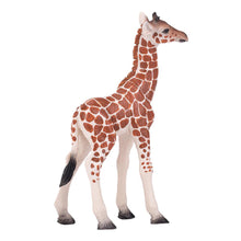 Load image into Gallery viewer, MOJO Wildlife &amp; Woodland Giraffe Calf Toy Figure (381034)
