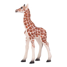 Load image into Gallery viewer, MOJO Wildlife &amp; Woodland Giraffe Calf Toy Figure (381034)
