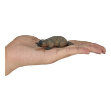 Load image into Gallery viewer, MOJO Wildlife &amp; Woodland Duck Billed Platypus Toy Figure (387106)
