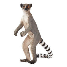 Load image into Gallery viewer, MOJO Wildlife &amp; Woodland Ringtail Lemur Toy Figure (387177)
