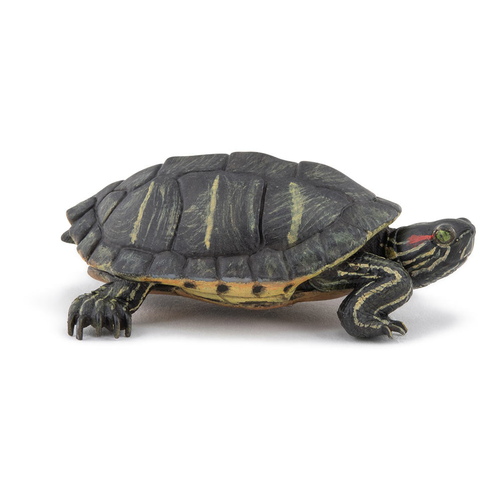 PAPO Wild Animal Kingdom Florida Tortoise Toy Figure - 50309