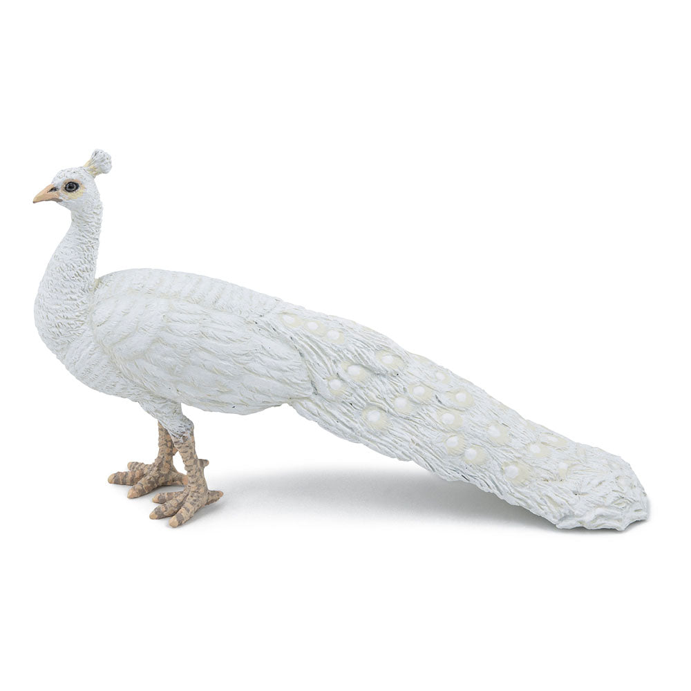 PAPO Farmyard Friends White Peacock Toy Figure - 51192