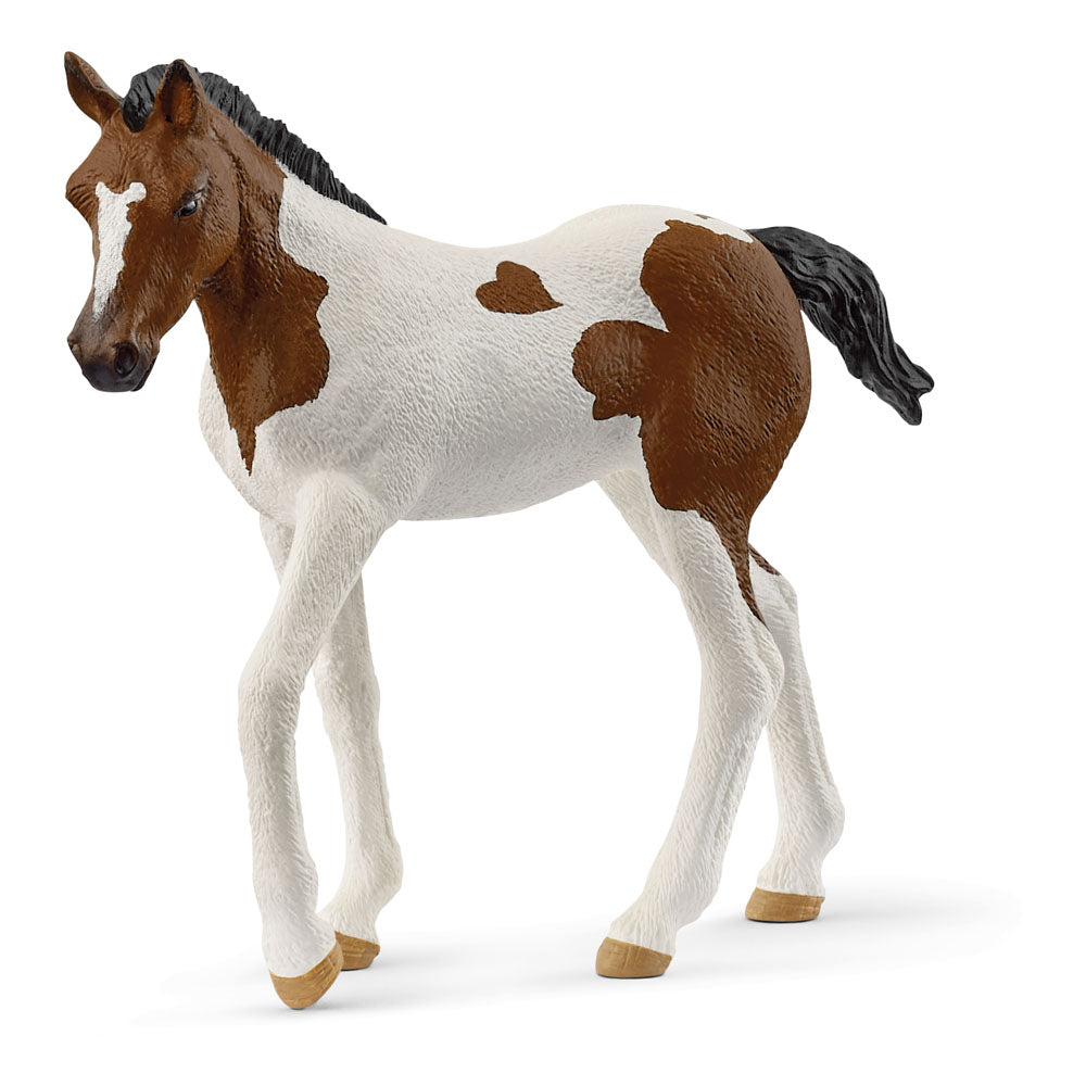 SCHLEICH Horse Club Paint Horse Foal Toy Figure - 14899