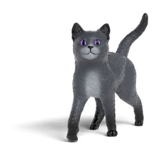 Load image into Gallery viewer, SCHLEICH School of Magical Animals Karajan the Cat Toy Figure - 14912
