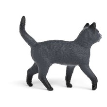 Load image into Gallery viewer, SCHLEICH School of Magical Animals Karajan the Cat Toy Figure - 14912
