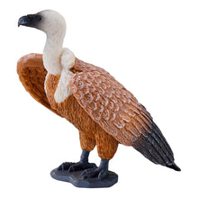 Load image into Gallery viewer, MOJO Wildlife &amp; Woodland Griffon Vulture Toy Figure - 381099

