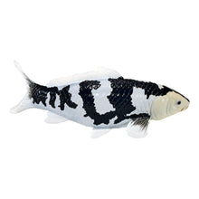 Load image into Gallery viewer, MOJO Wildlife &amp; Woodland Koi Carp Shiro Utsuri Koi (Black White) Toy Figure - 381102
