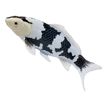 Load image into Gallery viewer, MOJO Wildlife &amp; Woodland Koi Carp Shiro Utsuri Koi (Black White) Toy Figure - 381102
