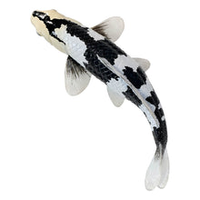 Load image into Gallery viewer, MOJO Wildlife &amp; Woodland Koi Carp Shiro Utsuri Koi (Black White) Toy Figure - 381102

