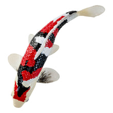 Load image into Gallery viewer, MOJO Wildlife &amp; Woodland Koi Carp Showa Sanshoku Koi (Tri Colour) Toy Figure - 381103
