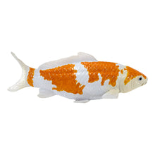 Load image into Gallery viewer, MOJO Wildlife &amp; Woodland Koi Carp Ochiba Shigure Koi (Gold White) Toy Figure - 381104
