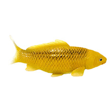 Load image into Gallery viewer, MOJO Wildlife &amp; Woodland Koi Carp Kin Matsuba Koi (Golden) Toy Figure - 381105
