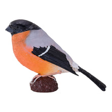 Load image into Gallery viewer, MOJO Wildlife &amp; Woodland Bullfinch Toy Figure - 381113

