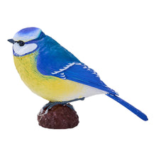 Load image into Gallery viewer, MOJO Wildlife &amp; Woodland Blue Tit Toy Figure - 381115
