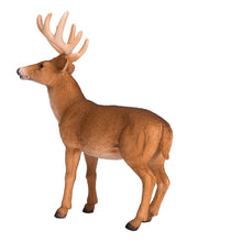 Load image into Gallery viewer, MOJO Wildlife &amp; Woodland White Tailed Deer Buck Toy Figure - 387038
