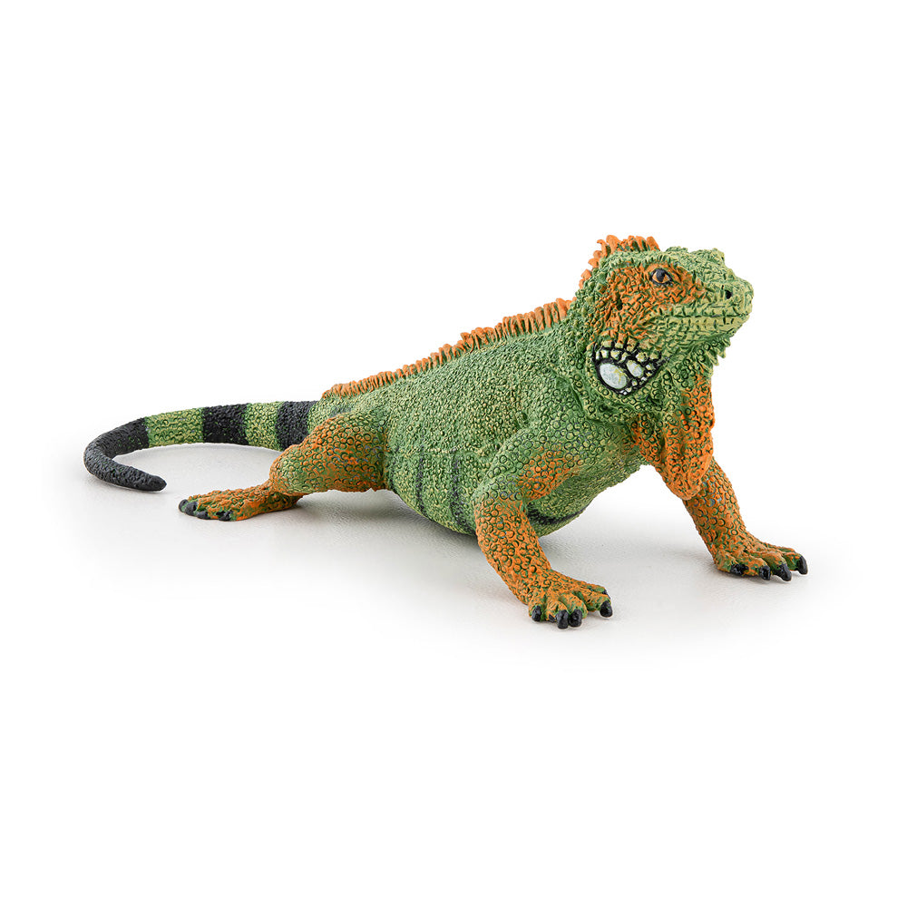 PAPO Wild Animal Kingdom Iguana Toy Figure - 50306