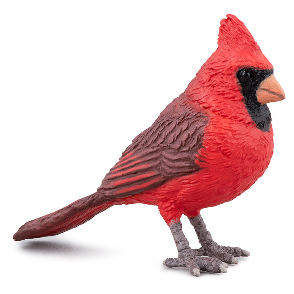 PAPO Wild Life in the Garden Northern Cardinal Toy Figure - 50322