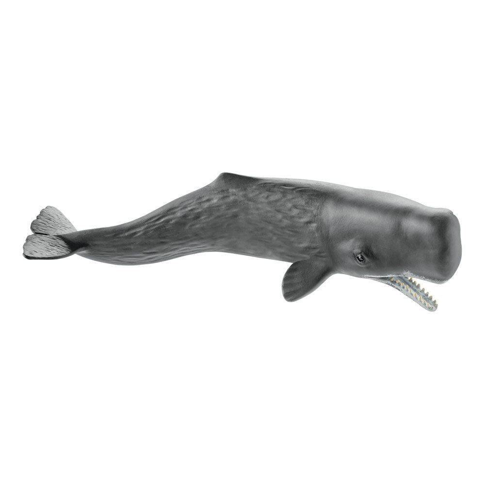 SCHLEICH Wild Life Sperm Whale Toy Figure (14764)